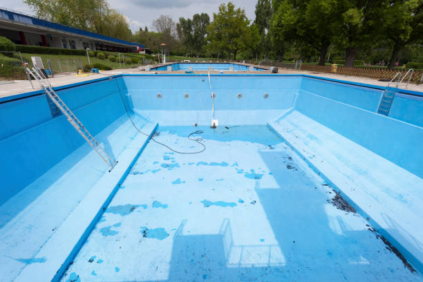 Best Water damage restoration mold remediation  in West Brattleboro, VT