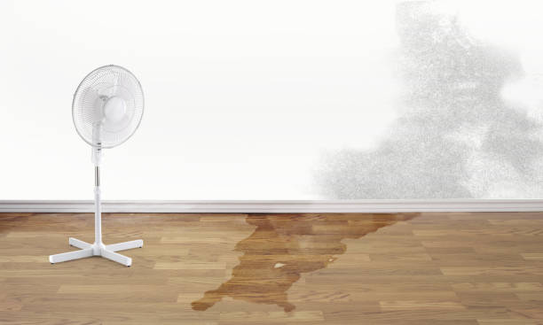 Best Flood restoration services  in West Brattleboro, VT