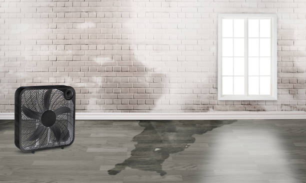 Best Ceiling water damage repair  in West Brattleboro, VT