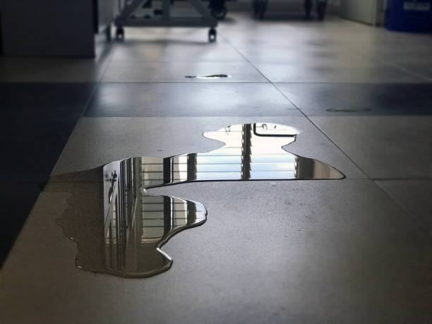 Best 24/7 water damage repair  in West Brattleboro, VT