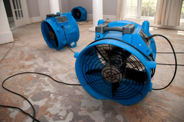 Best Residential water damage restoration  in West Brattleboro, VT